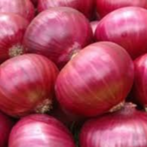 How Onions Transformed Rekha's Kitchen: A Story of Quality and Convenience | SAM AND CO WHOLESALE AND RETAIL SHOP