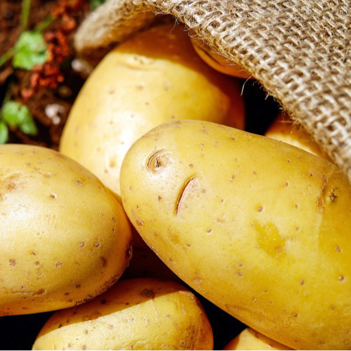 How Sam and Co's Potatoes Transformed Rajesh's Retail Business | SAM AND CO WHOLESALE AND RETAIL SHOP