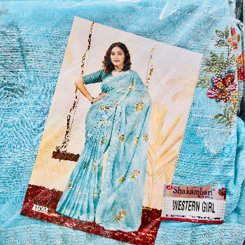 Embrace Elegance: How the Perfect Saree Transformed Meera's Life | SANTOSH VASTRALAYA AND GARMENTS