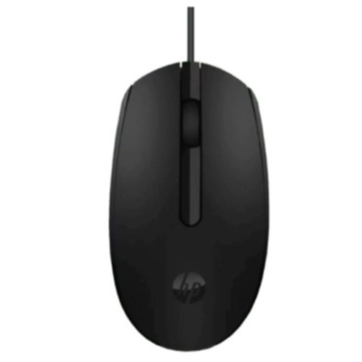 Meet Raj: How the HP M10 USB Mouse Transformed His Work Life | SWASTIK INFOTECH