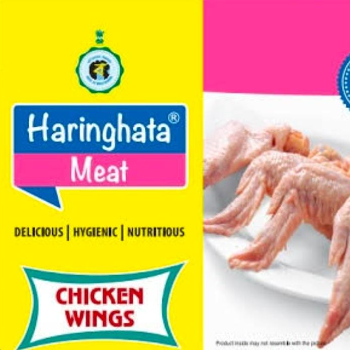 Savoring Success: How Chicken Wings Transformed Riya's Social Life | RONALD RAI