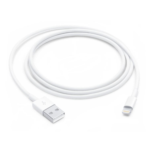 Powering Up Efficiency: How an Apple USB Type-C Cable Solved Priya's Charging Woes | THE AMISTAD VENTURE