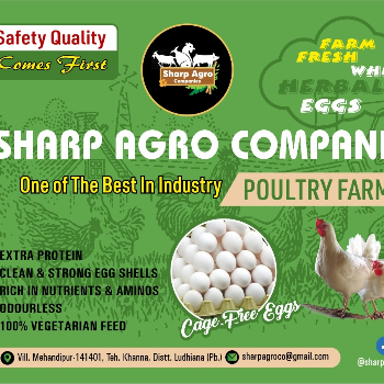 Nurturing Health: How Herbal Eggs Transformed Priya's Family Meals | SHARP AGRO COMPANIES
