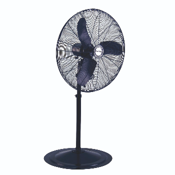 How Riya Found Comfort with the Beco Blackberry Farrata Stand Fan