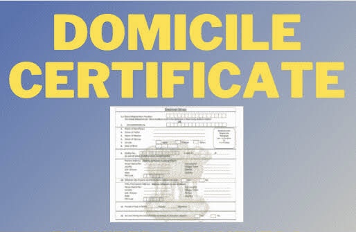 Unlocking the Benefits of Domicile Certificates