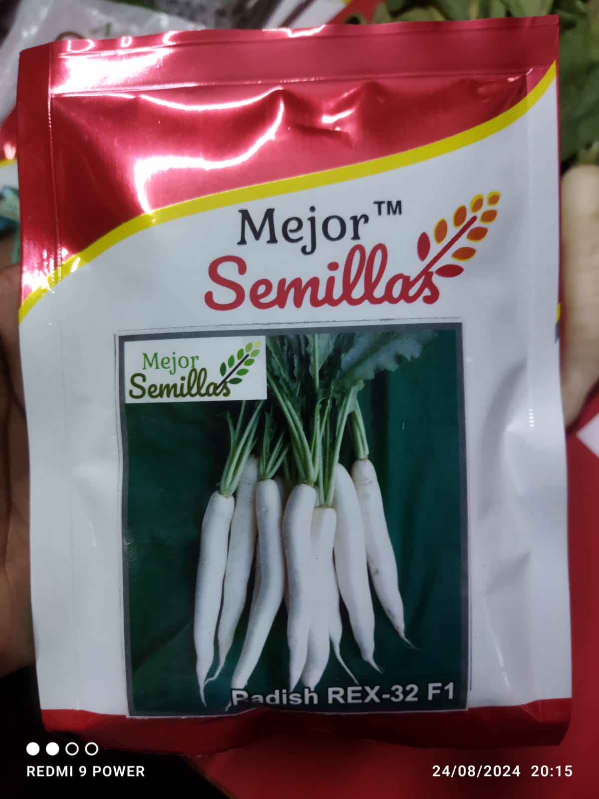 Cultivating Success: How Radish Rex 32 F1 Transforms Indian Farmers' Yields