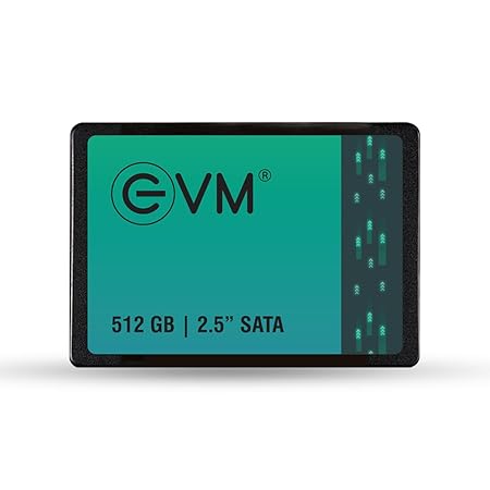 Transform Your Digital Experience: The Story of the EVM 512GB SATA SSD | S S INFOTECH