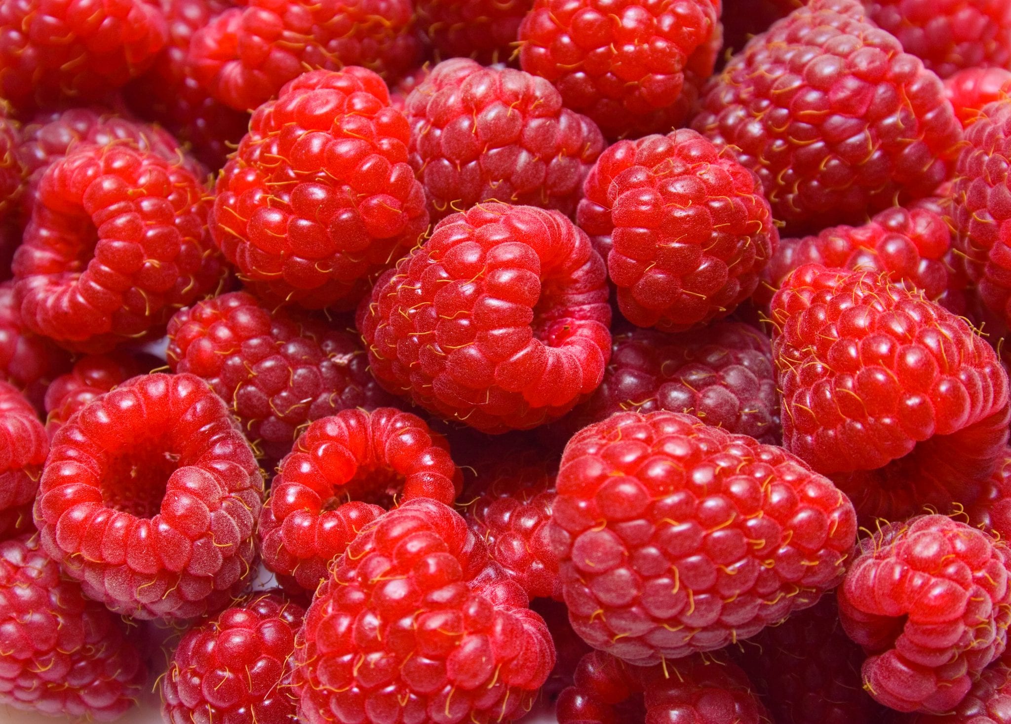 The Sweet Solution: How Raspberries Transform Lives
