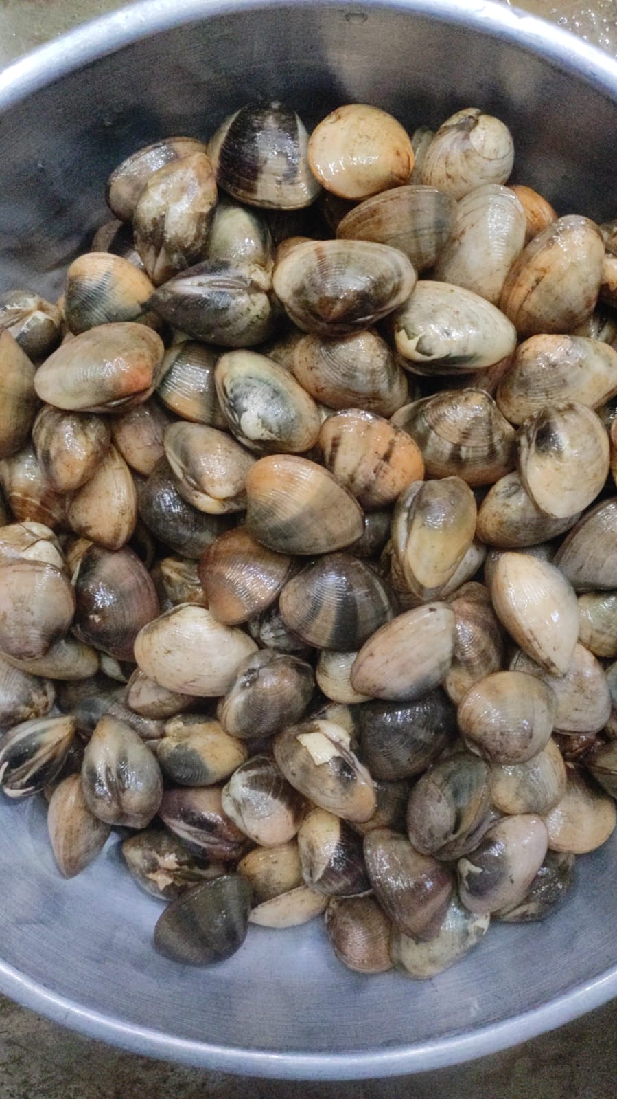 Finding Freshness and Flavor: Tisarya for the Modern Indian Household