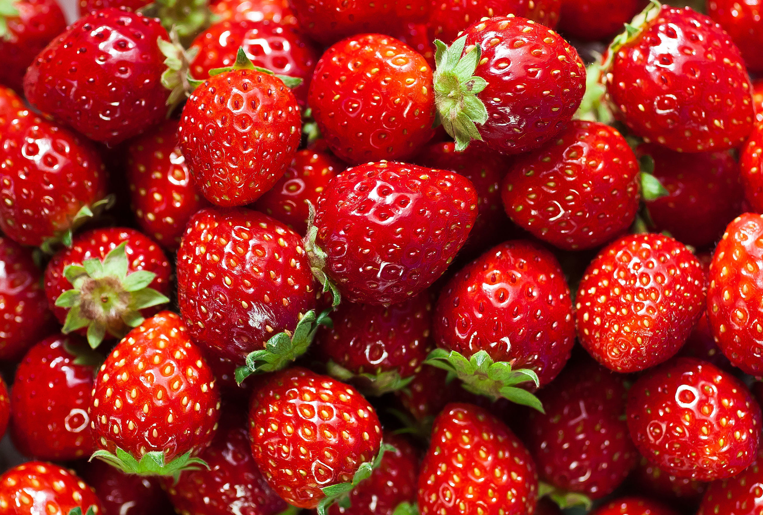 The Sweet Solution to Freshness: How Strawberries Transform Lives