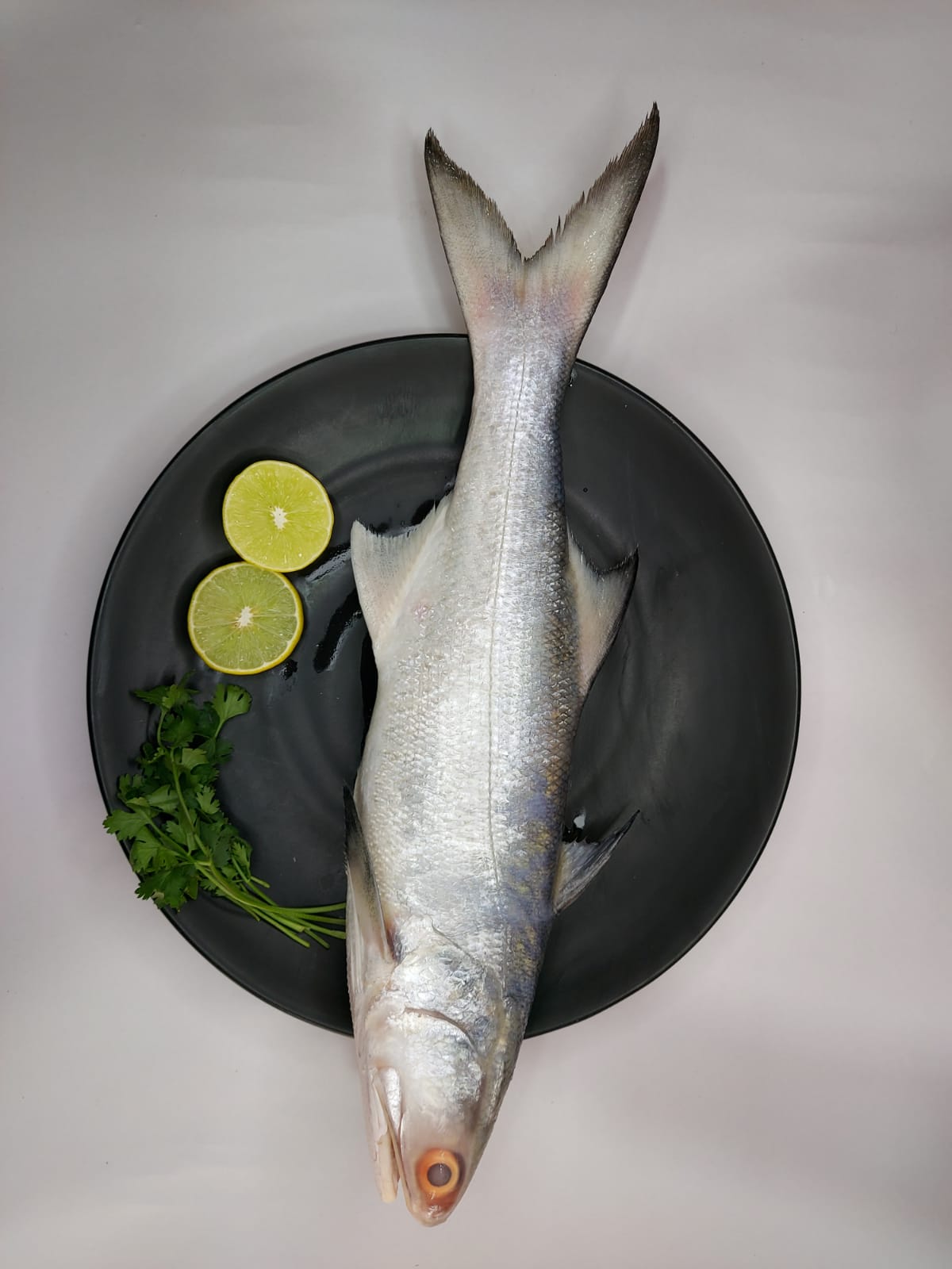 Discover the Freshness of Ravas Fish: A Culinary Delight for the Health-Conscious Indian Family