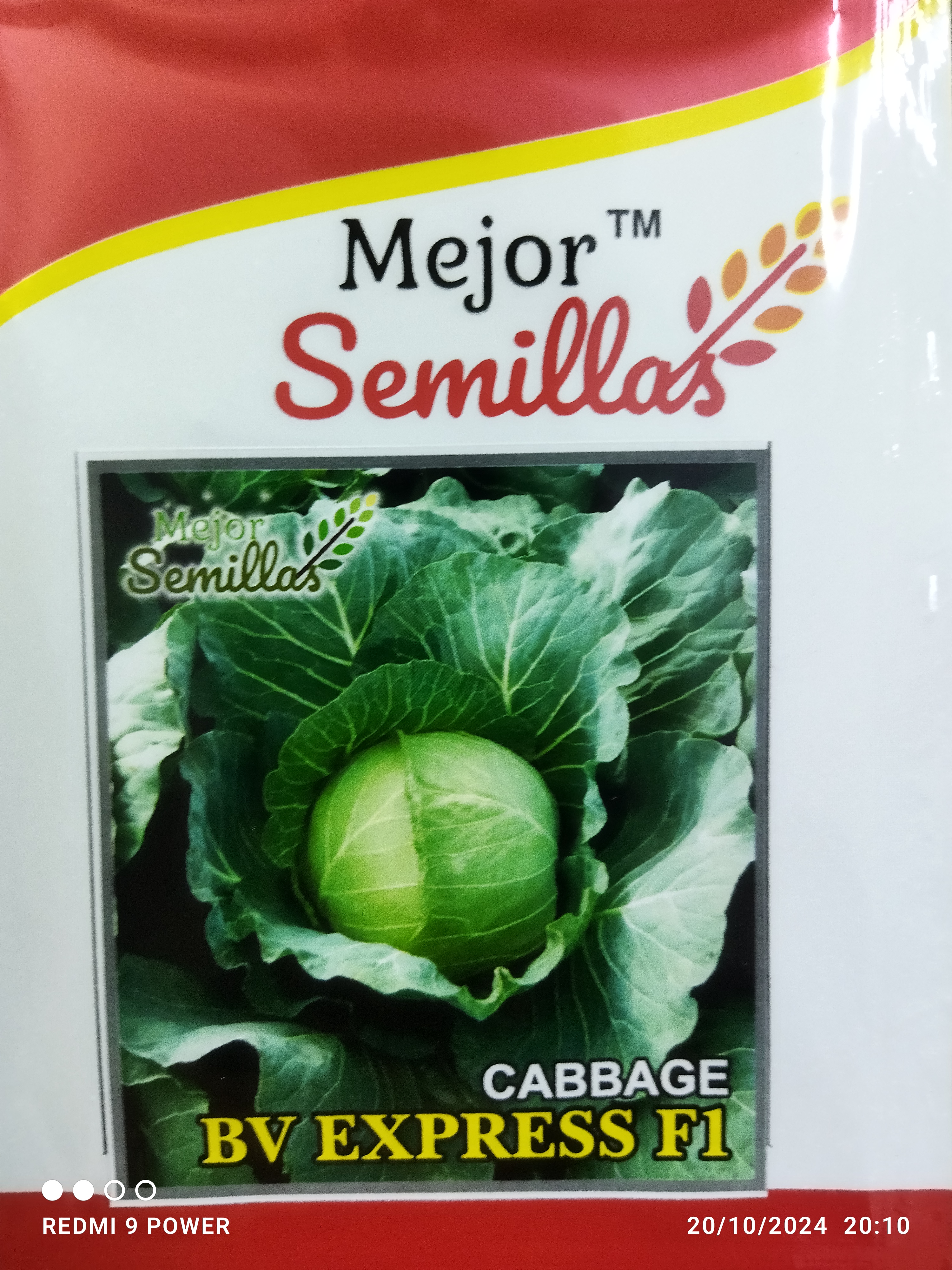 Growing Success: How Cabbage BV Express F1 Transformed Rajesh’s Farming Journey