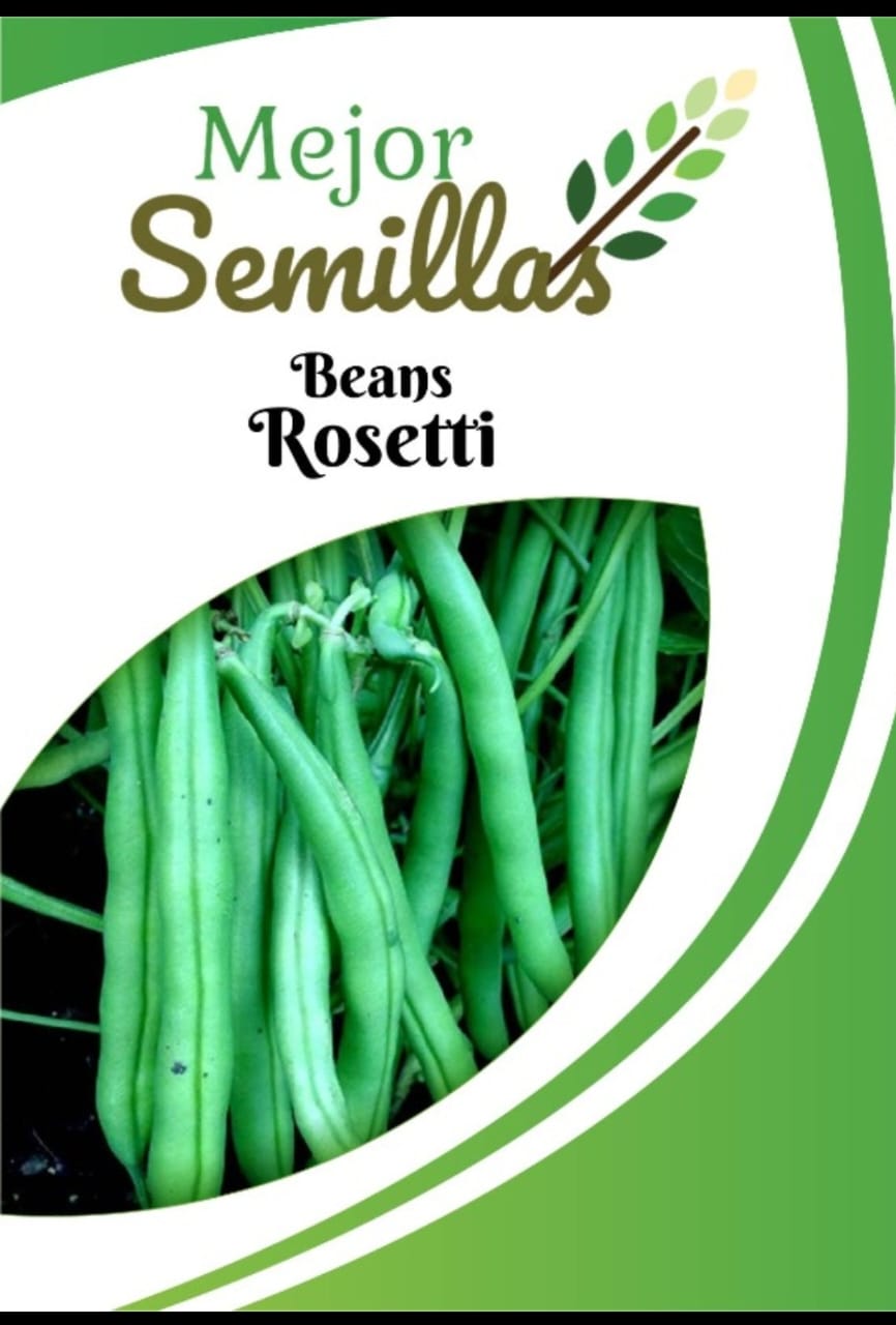 Cultivating Success: How Pole Beans Rosetti Transforms Home Gardening