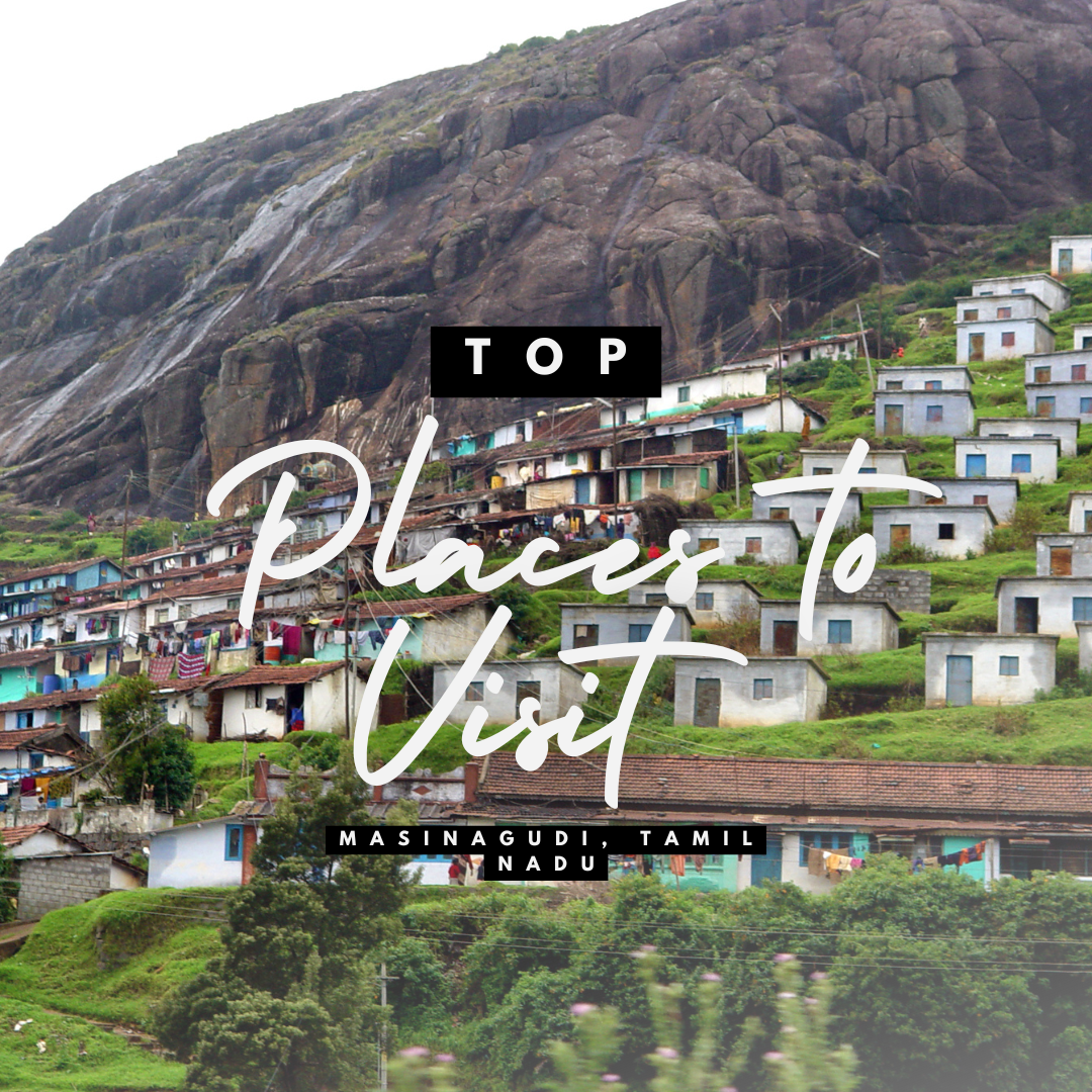 Top Places to Visit in Masinagudi, Tamil Nadu