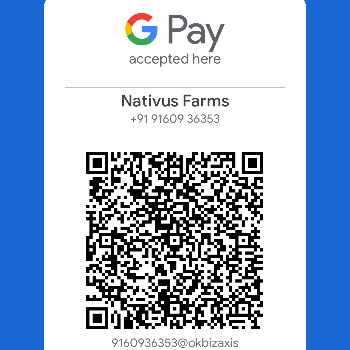 Google Pay