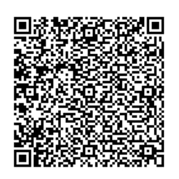 THIRD EYE SECURITY SOLUTIONS