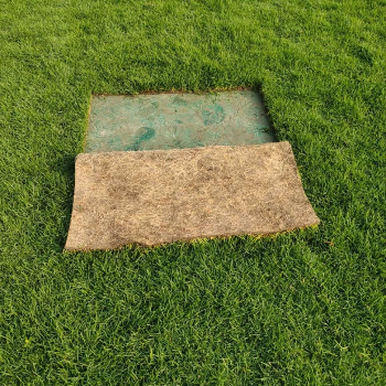  Buy Lawn Grass & Grass Carpets TAJ NURSERY KHATA NO.373,PLOT NO.522 ST. STEPHENS CHURCH,OLD MANGO MARKET., BERHAMPUR, Odisha, 760001