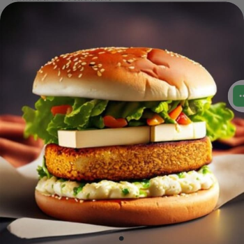  cheese and paneer burger KHINDA SONS SWEETS RESTAURANT Plot No. 161, 234 Pilibhit Road, Khatima, Uttarakhand, 262308