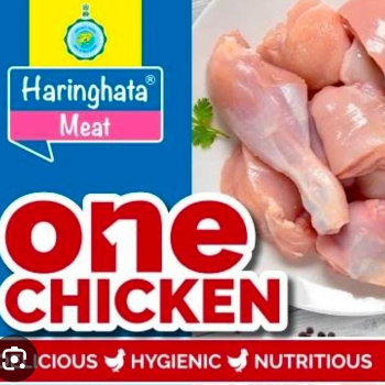  One chicken RONALD RAI RISHI ROAD  7TH MILE KALIMPONG KHASMAHAL DARJEELING