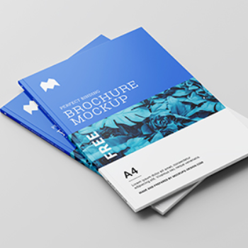 brochure-https://s3.ap-south-1.amazonaws.com/prod-media-vyaparify-com/vcards/products/136382/product_1738998753_67a703e1c2f99.png Image