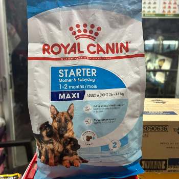  Royal Canin starter motherand babyfood SANDY DOG KENNEL AND PET SHOP SA. 5/149-A-3-K Aktha Road, Varanasi, Uttar Pradesh, 221007