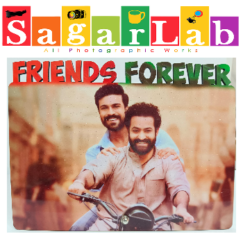  FRIENDS WOOD SAGAR LAB 4 1 295 GROUNDFLOOR OFFICE ROADTOWR CIRCLE KARIM NAGAR