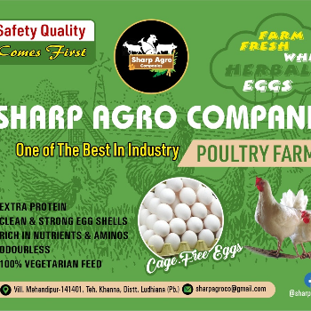  Herbal Eggs 25 SHARP AGRO COMPANIES PO KISHANGARH, OPP. GOVERNMENT PRIMARY SCHOOL Gali Number 1, Khanna, Punjab, 141401