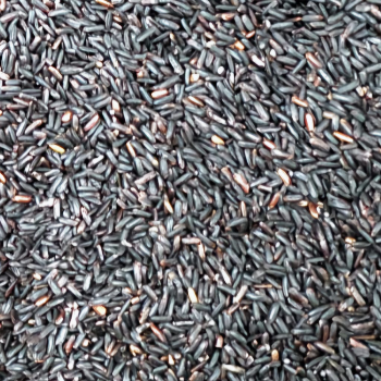  karupkavuni rice (கருப்பு கவுனி அரிசி) ASP TRADERS 1542 100D SKP BUILDIND NO 2 VELLORE MAIN ROAD THENDRAL NAGAR VENGIKKAL