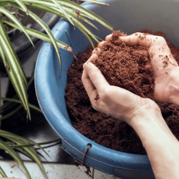  cocopeat CALCUTTA TIRPAL TRADERS NX LOWER GROUND FLOOR   SHOP NO G7 GLOBAL  TOWER  EASTERN BY PASS GHOGOMALI