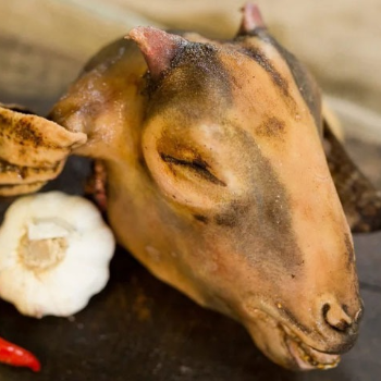  Fresh Mutton Head SHAIK AZAM NH 63 SHIRKEY COLONY NASPUR TELENGANA