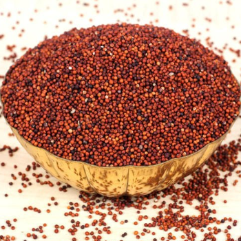  RAGULU - FINGER MILLET WELCOME SUPER MARKET #81/155/11/5. Parvathi Nagar, Bansuri Hotel Building. Opp. Register Office, Kurnool