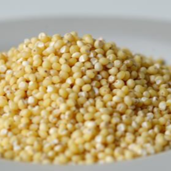  KORRA Foxtail Millet WELCOME SUPER MARKET #81/155/11/5. Parvathi Nagar, Bansuri Hotel Building. Opp. Register Office, Kurnool