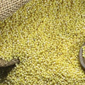  VARIGELU PROSO MILLET WELCOME SUPER MARKET #81/155/11/5. Parvathi Nagar, Bansuri Hotel Building. Opp. Register Office, Kurnool