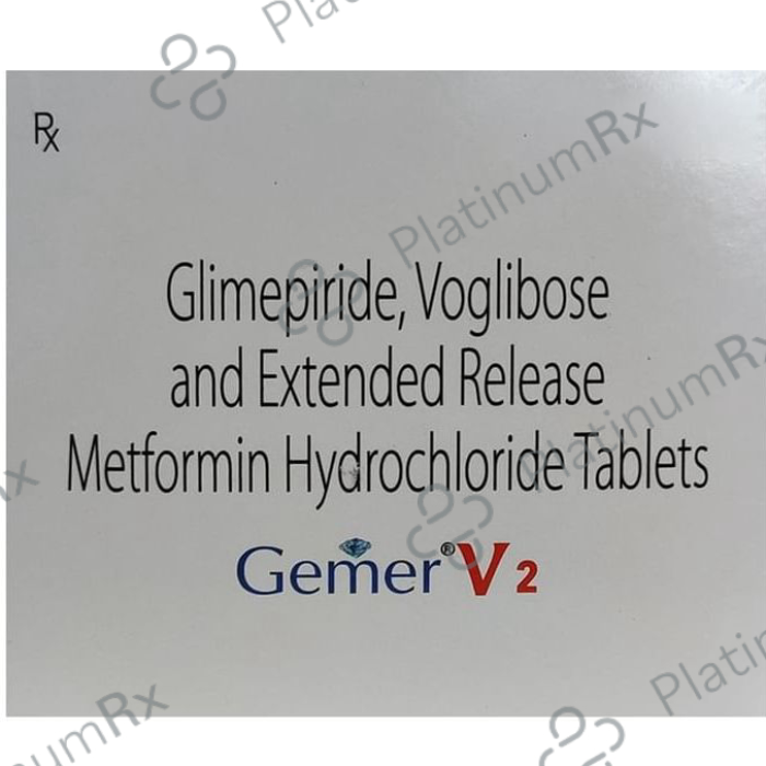 GEMER V2-https://s3.ap-south-1.amazonaws.com/prod-media-vyaparify-com/vcards/products/217041/product_1746702323_681c8ff3187f6.png Image