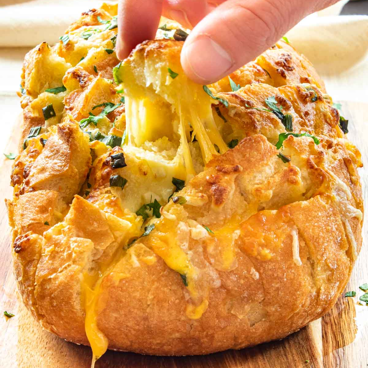 VARIETY OF Loaf (SMALL/LARGE)-https://s3.ap-south-1.amazonaws.com/prod-media-vyaparify-com/vcards/products/220464/product_1746817887_681e535f68b3d.png Image