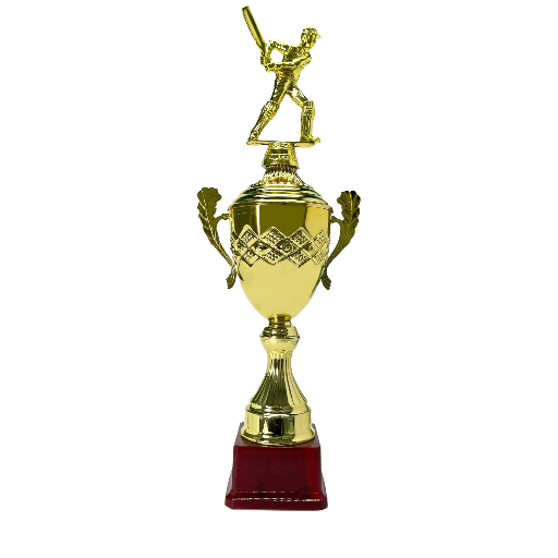 CRICKET TROPHY-https://s3.ap-south-1.amazonaws.com/prod-media-vyaparify-com/vcards/products/233435/product_1747316366_6825ee8ec8f58.png Image