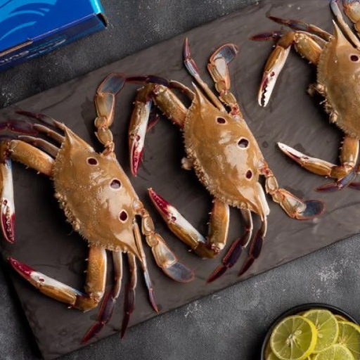  CRAB  PITHALU BJS FISH COMPNY Shop No 1/ 7/578/31/  B Bhoibasti Zamistanpur Mushterkbab, Hyderabad.