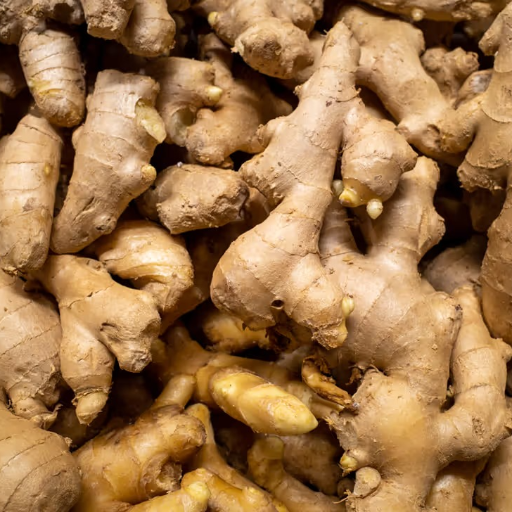  GINEGER  ( WHOLESALER & RETAILER ) SAM AND CO WHOLESALE AND RETAIL SHOP St Xavier Church Junction,cape Road, Kottar, Nagercoil. / Collector Office Junction, Kp Road, Opposite To Lalithaa Jewellery, Nagercoil.