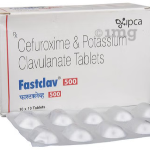 FASTCLAV 500-https://s3.ap-south-1.amazonaws.com/prod-media-vyaparify-com/vcards/products/256554/product_1748156157_6832befd2f7a4.png Image