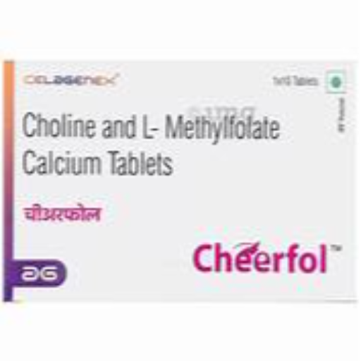 CHEERFOL-https://s3.ap-south-1.amazonaws.com/prod-media-vyaparify-com/vcards/products/256676/product_1748167121_6832e9d16b13b.png Image