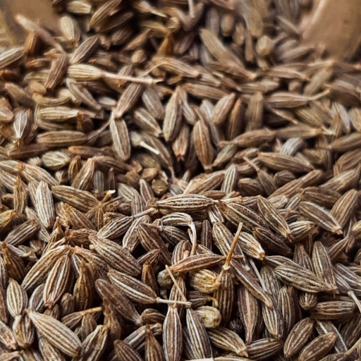  Cumin seeds RAJWADI TRADERS Mahamandir Behind Parihar Sweets Near Shani Mandir Kaga Dandi Road Jodhpur