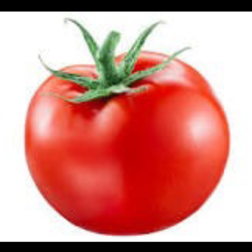  Tomato BHOLENATH FAL SABJI VIKRETA WING NO 1 SHOP NO  36 SAVINA SABJI  MANDI