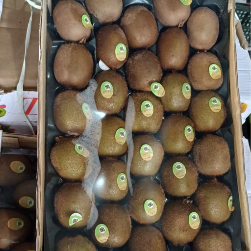  Kiwi YOGESH MODI 884B LAXMI NATH JI  KI GHATI BADA  BAZAR BIKANER BIKANER