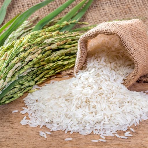 All types of rice-https://s3.ap-south-1.amazonaws.com/prod-media-vyaparify-com/vcards/products/325360/product_1754903873_6899b541d8337.png Image