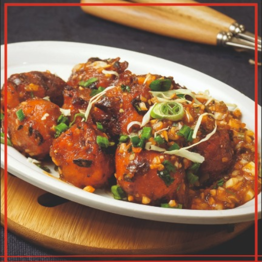  Veg Manchurian Dry METRO RESTAURANT NH 62 HOTEL METRO