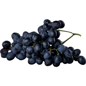 Fresh Black Grapes-https://s3.ap-south-1.amazonaws.com/prod-media-vyaparify-com/vcards/products/35783/Black-grapes.png Image