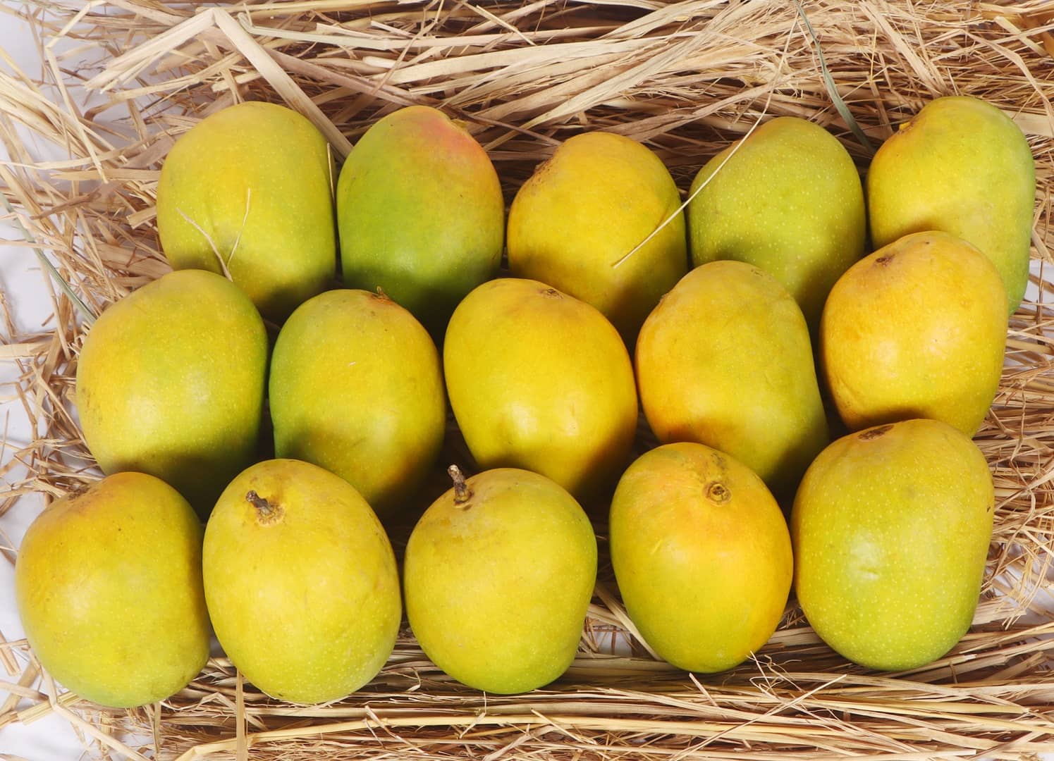 Alphonso Mangoes-https://s3.ap-south-1.amazonaws.com/prod-media-vyaparify-com/vcards/products/36394/Alphonso-Mangoes.jpg Image