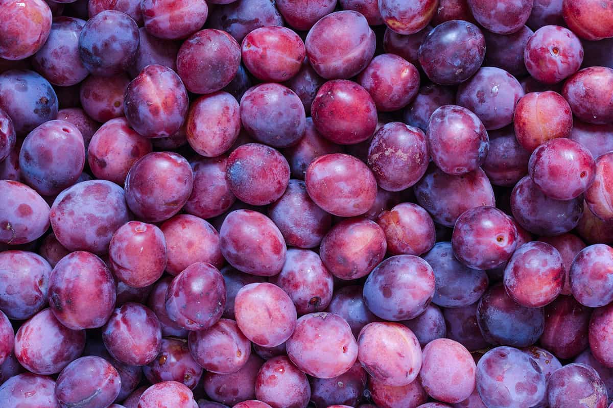 Fresh Plums-https://s3.ap-south-1.amazonaws.com/prod-media-vyaparify-com/vcards/products/36395/Fresh-Plums.jpg Image