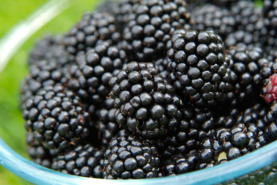 Blackberries-https://s3.ap-south-1.amazonaws.com/prod-media-vyaparify-com/vcards/products/36398/Black-berry.jpg Image