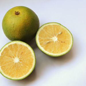  Fresh Mausambi BAGWAN FRUITS And JUICE CENTRE No. 32/1A/1, WESTPORT 414 S, 30, Pan Card Club Rd, Baner, Pune, Maharashtra 411045